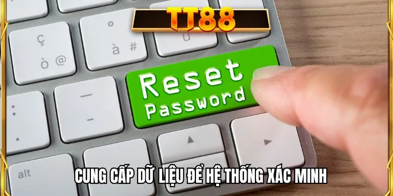 Cung cấp dữ liệu để hệ thống xác minh